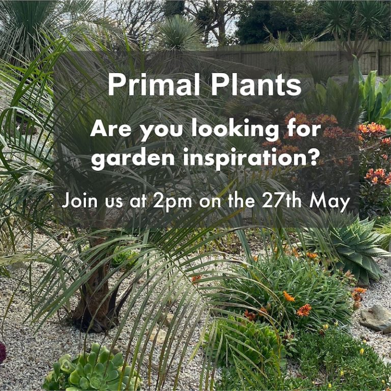 FINISHED Primal Plants garden inspiration event.