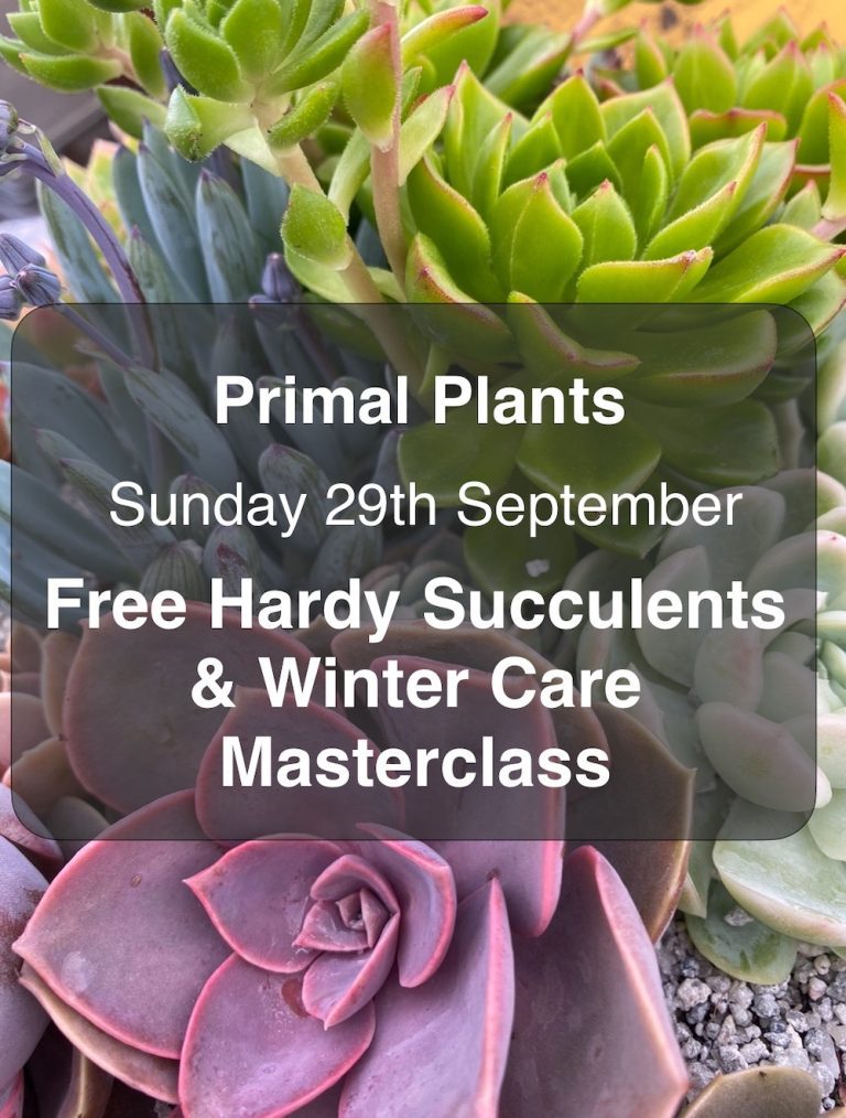 Finished: Hardy Succulents and Winter Care Masterclass